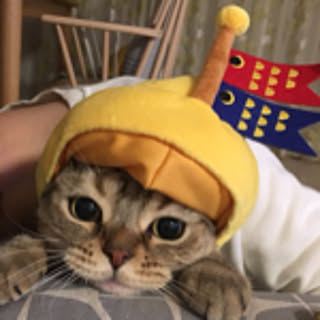 Aya