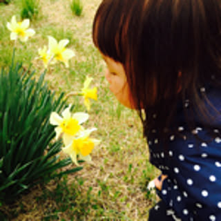 ike-ayu