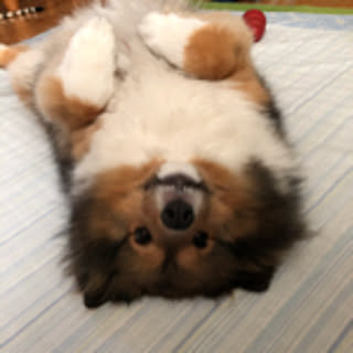 umimin