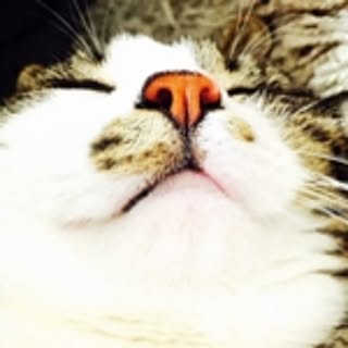 jun