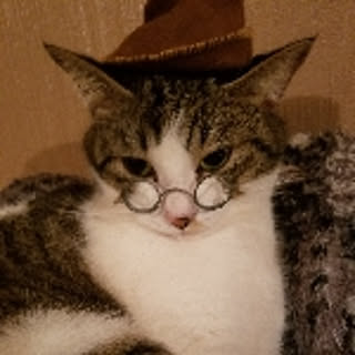 sioyuki