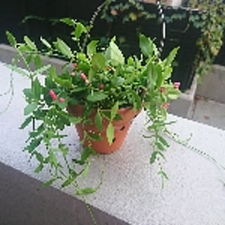 mikity.com