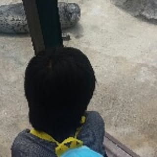 kousei
