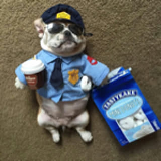 monjr_11