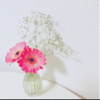 ikuko0719