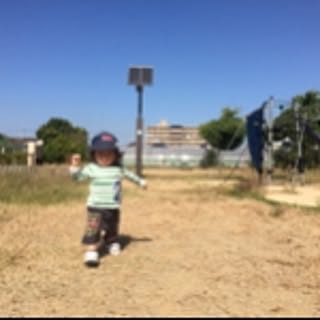zenmama