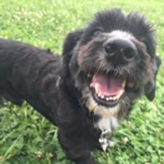 Kco