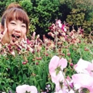 shihoringo1228