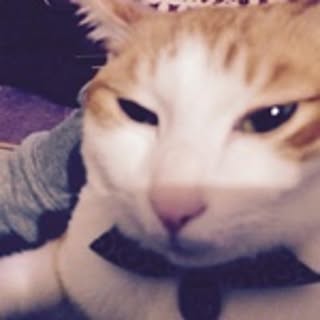 kami_koya