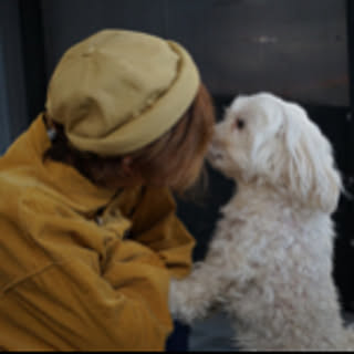 Chacha