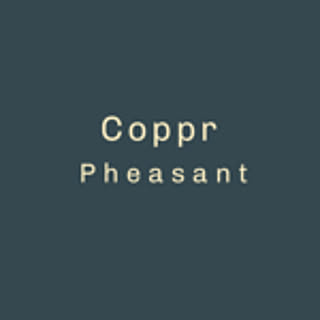 Copper_Pheasant