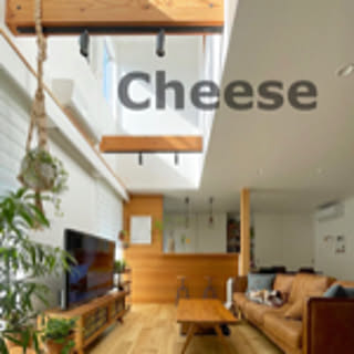 Cheese