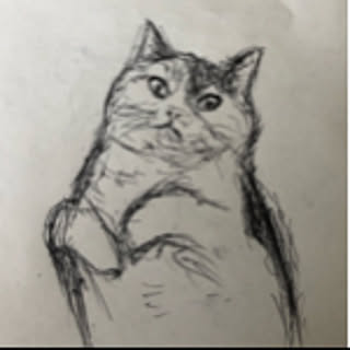 Tara