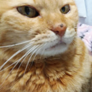 ma.y