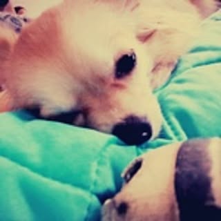 yuki