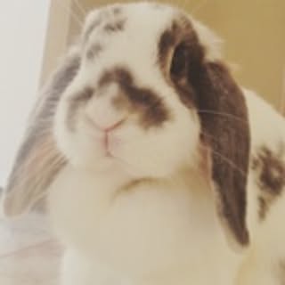 mimi