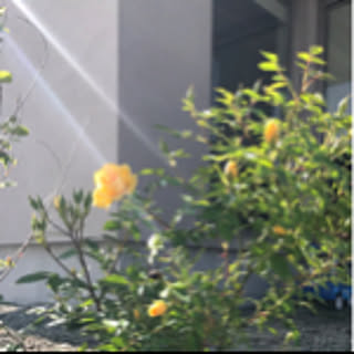ma-mi