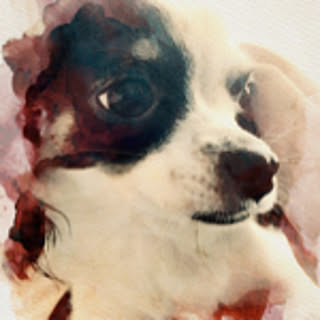 Rie