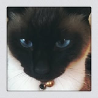 tomo
