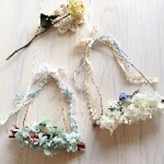 twinkleflower