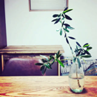 kawa