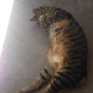 sun__n