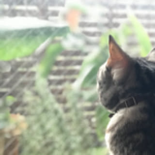 JUN