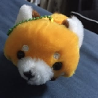 yamadatakeda1004