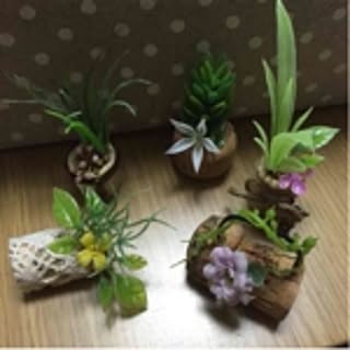 ikukukumi