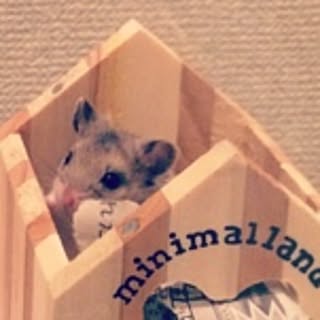 narumi
