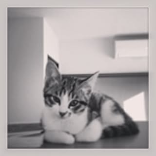 Reiko