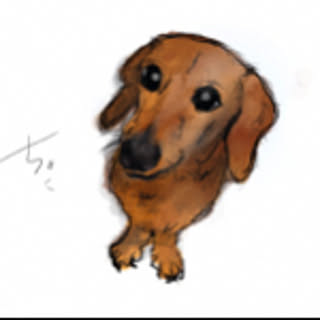 choko