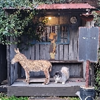 fukumiki+
