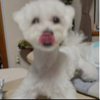 nana