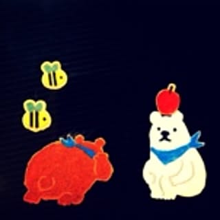 pir_ori17