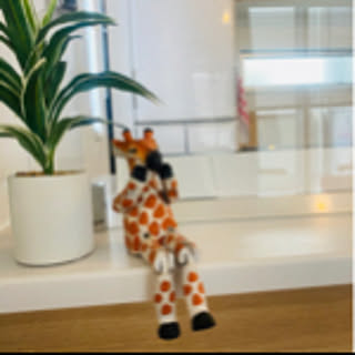 msp