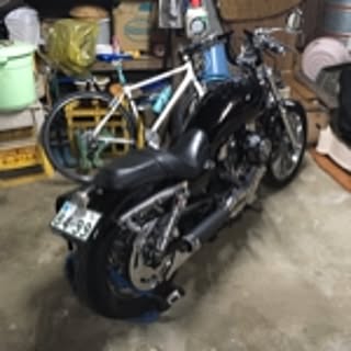 brooke53shin