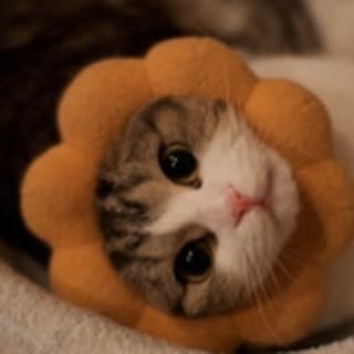 k.yukarin