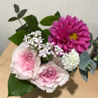 KAZU