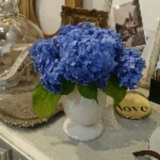 norik