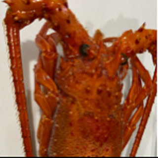 53150