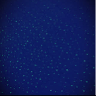 u3