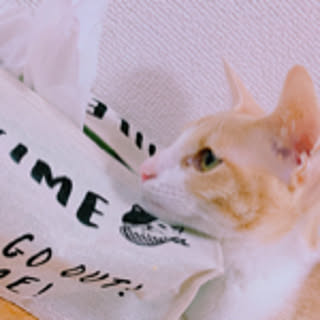 yuuu93