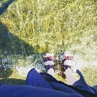 gotu-