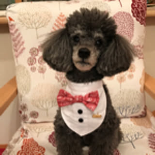 chieko