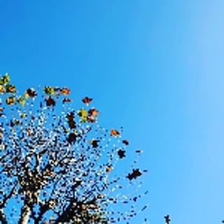 xxdalahastxx