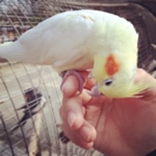 photoko.t