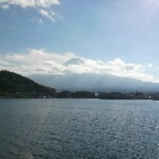 nea