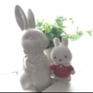 fairy-usagi