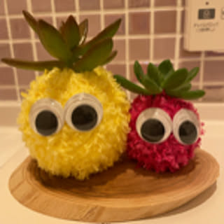 mamokoto